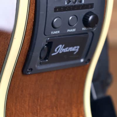 Ibanez AEG10II-NNB image 8