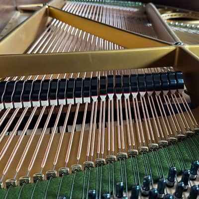C. Bechstein B 1919 - Ebony Polish image 9