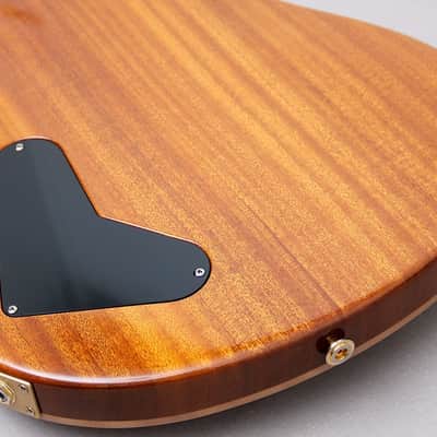 PRS USA Artist Package 20TH Anniversary Custom 22 "Brazillian Rosewood + Natural Burst" (2005) image 16