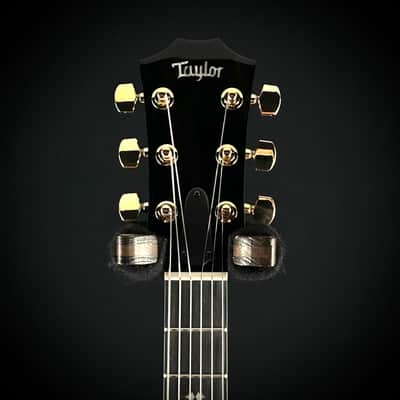 Taylor T5z Custom Koa image 6