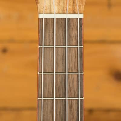 Cordoba 24T Spruce Tenor Ukulele | Natural image 5