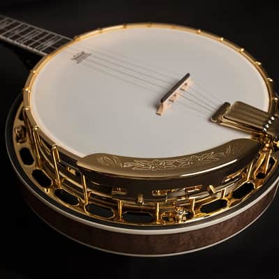 Washburn Americana Series B17K-D 5 String Banjo Sunburst image 8