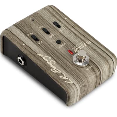 L.R. BAGGS Align Active DI Aktive DI-Box image 2