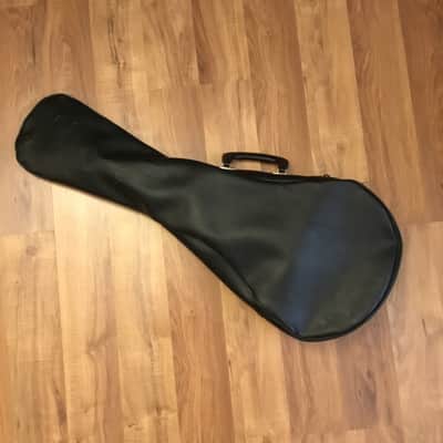 Ashbury Mandolin w/Case image 16