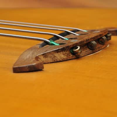 Vester Fretless acoustic bass VB385 image 7