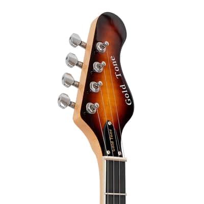 Gold Tone EBT Solid Mahogany Tele Body Flame Maple Top Maple Neck 5-String Electric Banjo image 4