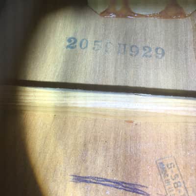 Bronson H929 1958 - Tobacco Sunburst image 3