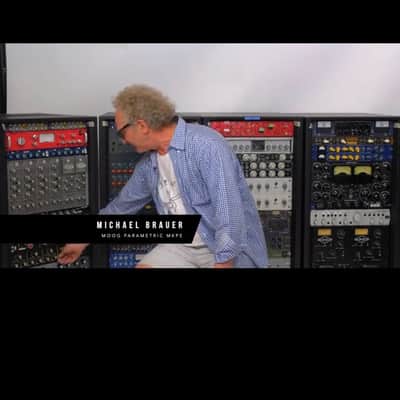 LEGENDARY MOOG MKPE 3 BAND PARAMETRIC EQUALIZER (1978) / PRO SERVICED / MICHAEL BRAUER FAVORITE / VOLTAGE SELECTOR / MICHAEL BRAUER & PRINCE image 24