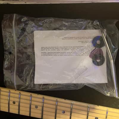 Vigier Excalibur Indus 2020 (Satin/Matte White with Satin Matte Black Pickguard, Trem) image 16