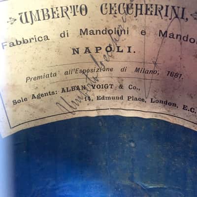 Umberto Ceccherini Neapolitan Style bowlback mandolin 1881 with Eastman Case image 7