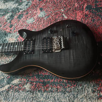 PRS SE Custom 24 Floyd image 2