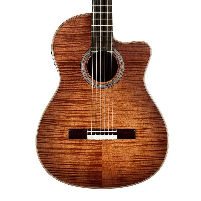 Cordoba Fusion 12 Nylon String Acoustic-Electric Guitar - Cinnamon Burst image 1