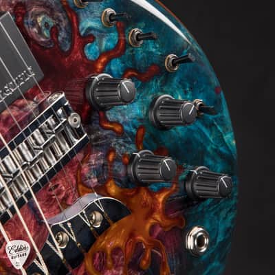 Alembic Further 6 Buckeye Burl - Resin Top #F15036 Bild 15