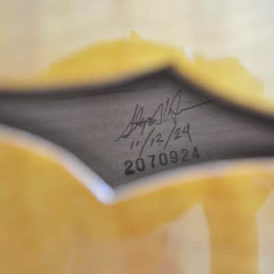 Holst 16" Archtop 2025 image 8