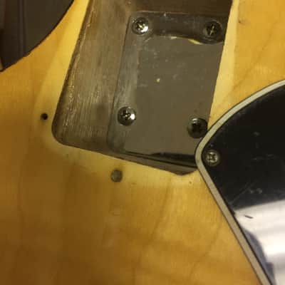 Nardan Model 100 MIJ 1950's/60's Archtop Spruce top Maple back & sides image 13
