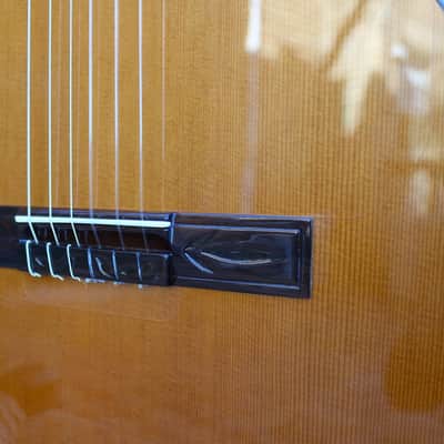 Juan Montes Rodriguez Flamenco guitar cutaway  Hardcase image 3