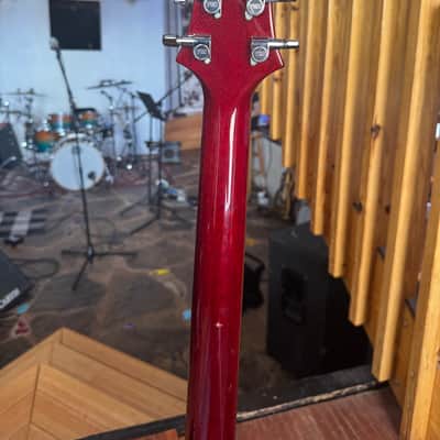 PRS Custom 22 Stoptail Artist Package image 4