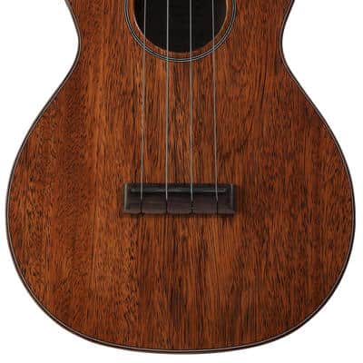 Martin Centennial 1 Concert Ukulele - Natural Dark Mahogany image 2
