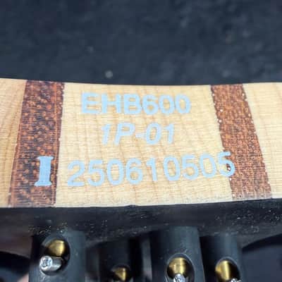 Ibanez Bass Workshop EHB600 Electric Bass Guitar - Charred Champagne Burst Matte, Free Plek! 505 image 11