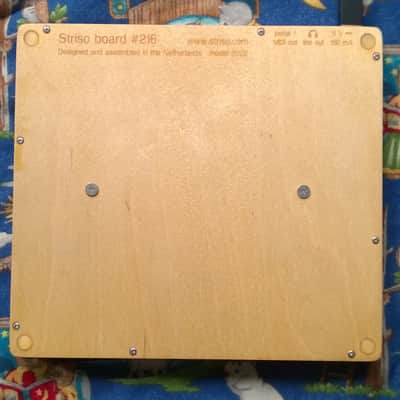 Striso board 2022 image 3