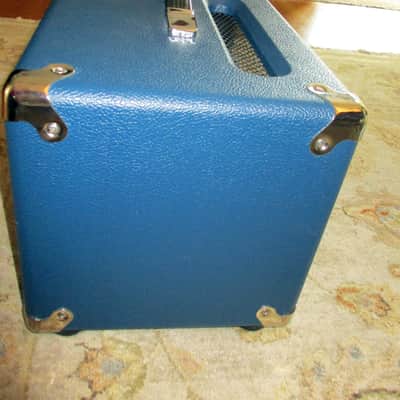 Carol Ann Triptik 50W - Signed NY Amp show Prototype image 5