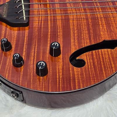 2010 Epiphone Zenith Bass Guitar - Mint - Gorgeous Flame Maple Top image 6