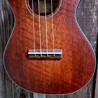 Eastman EU1-T All Solid Mahogany Tenor Ukulele w/ Gig Bag image 4