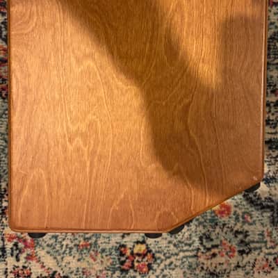 Godin ASG1150 Acoustic Solutions 1x8" 150-Watt Guitar Amp 2010s - Natural image 10
