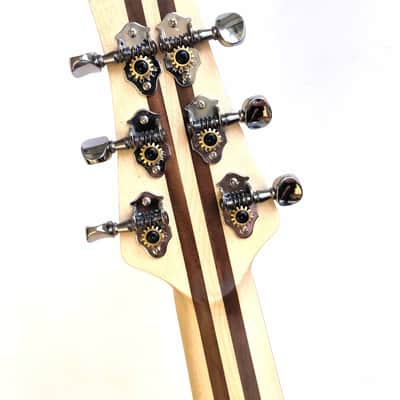 (made in Ukraine) Lobanov Guitars LW Feather '2025 Burled Grey w/GigBag image 7