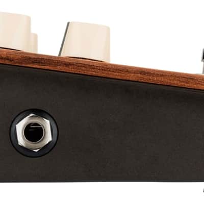 L.R. Baggs Align Series Reverb Pedal image 4