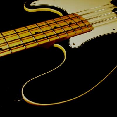 St. Blues Bluesking Bass IV 1984 Delta Black image 18