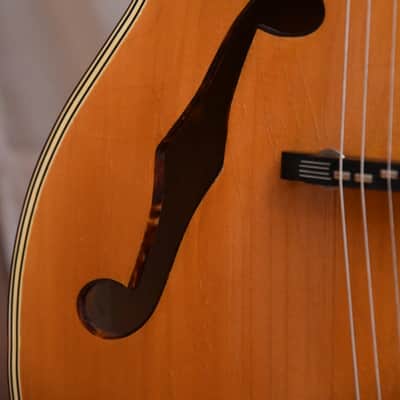Rodebald Hoyer Jazzstar – 1958 Solid Wood German Vintage Archtop Jazz Guitar / Gitarre image 6