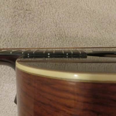Andy Manson Magpie Acoustic Guitar image 16