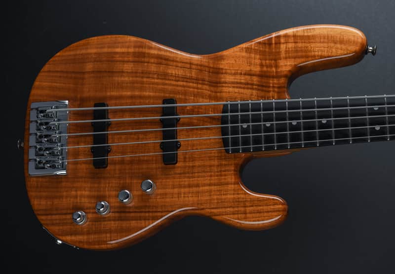 Carvin 5 String Bass, Recent image 1