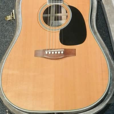 A LoPrinzi LR-20 Dreadnought Acoustic Guitar with case used image 4