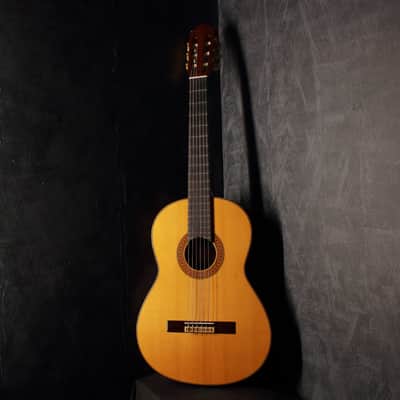 Yamaha GC-30 Grand Concert Classical Acoustic 1989 image 3