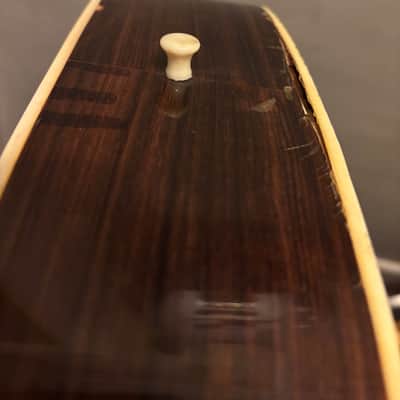 Rare - F.A.M.E. - 747 Chet Atkins Acoustic Electric - OG Case - Project / Repair image 11