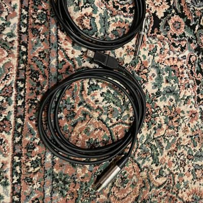 Roland Guitar and Mic Cable Interface image 3