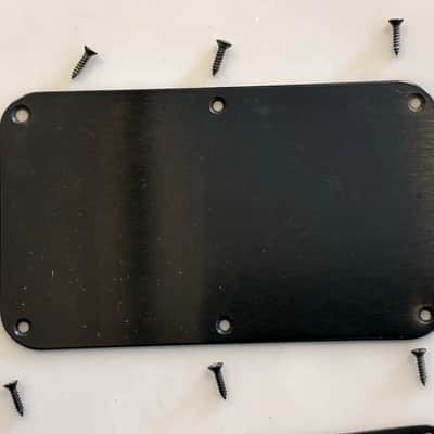 PEAVEY® USA WOLFGANG STANDARD BACK CONTROL PLATES WITH SCREWS =VAN HALEN= image 7