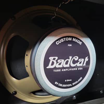 BadCat Era 1x12 60 Watt Cabinet 8 Ohms 2025 w/ Cover Near Mint - Black image 8