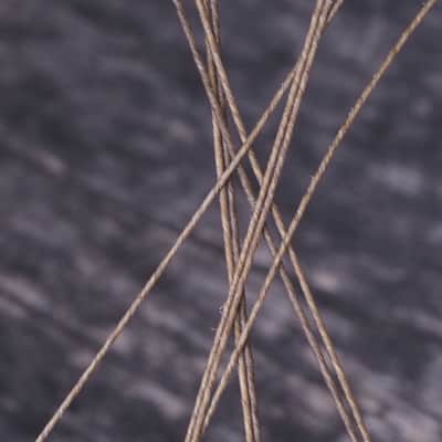 Natural Gut Hurdy Gurdy Melody String G4 Chanterelle Wheel Fiddle Replacement image 6