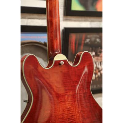 EASTMAN T59/TV Classic image 6