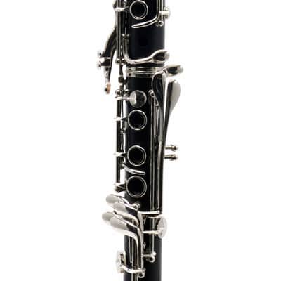 Buffet Crampon R13 Professional Bb Clarinet in Grenadilla SN 542908 image 5