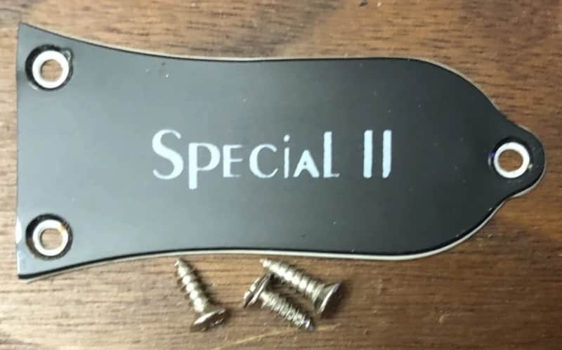 2008 Epiphone Les Paul Special II Electric Guitar Truss Rod Cover With Screws image 1