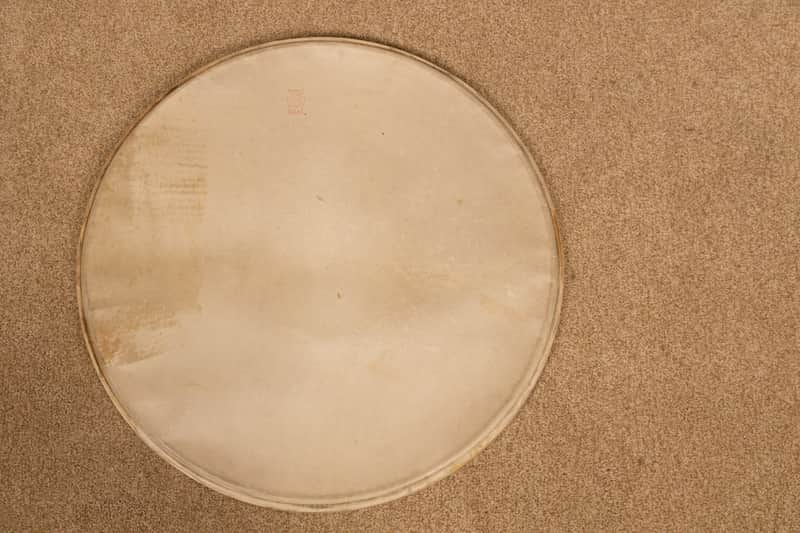 1950s WFL 24" Calfskin Bass Drum Head image 1