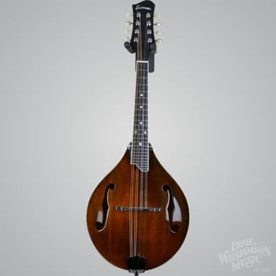 Eastman MD505 A Style Mandolin Classic - Solid wood w/Hardshell Case image 9
