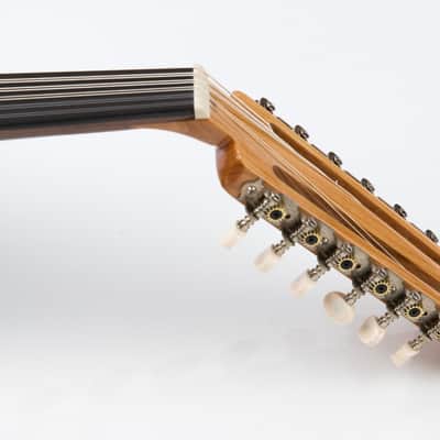 Electric Oud Cutaway Semi Acoustic Oud image 6