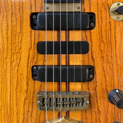 1980 Vintage Alembic Series One Guitar with Hard Case image 5