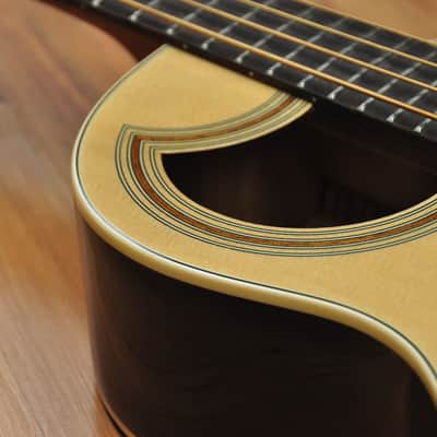 Warwick Rockbass Alien Standard 4 Fretted image 6