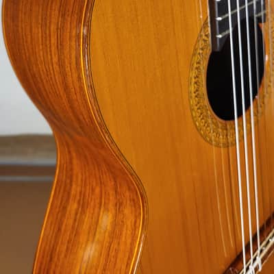 Vicente Sanchis (Luthier) 38 image 20